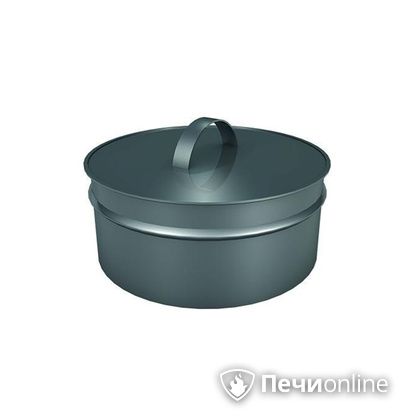 Заглушки Теплов и Сухов Заглушка ревизии Термо-Р 304 0.5 D300(200) в Абакане