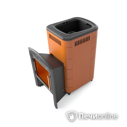 Дровяная печь-каменка TMF Тунгуска Cast Витра терракота в Абакане
